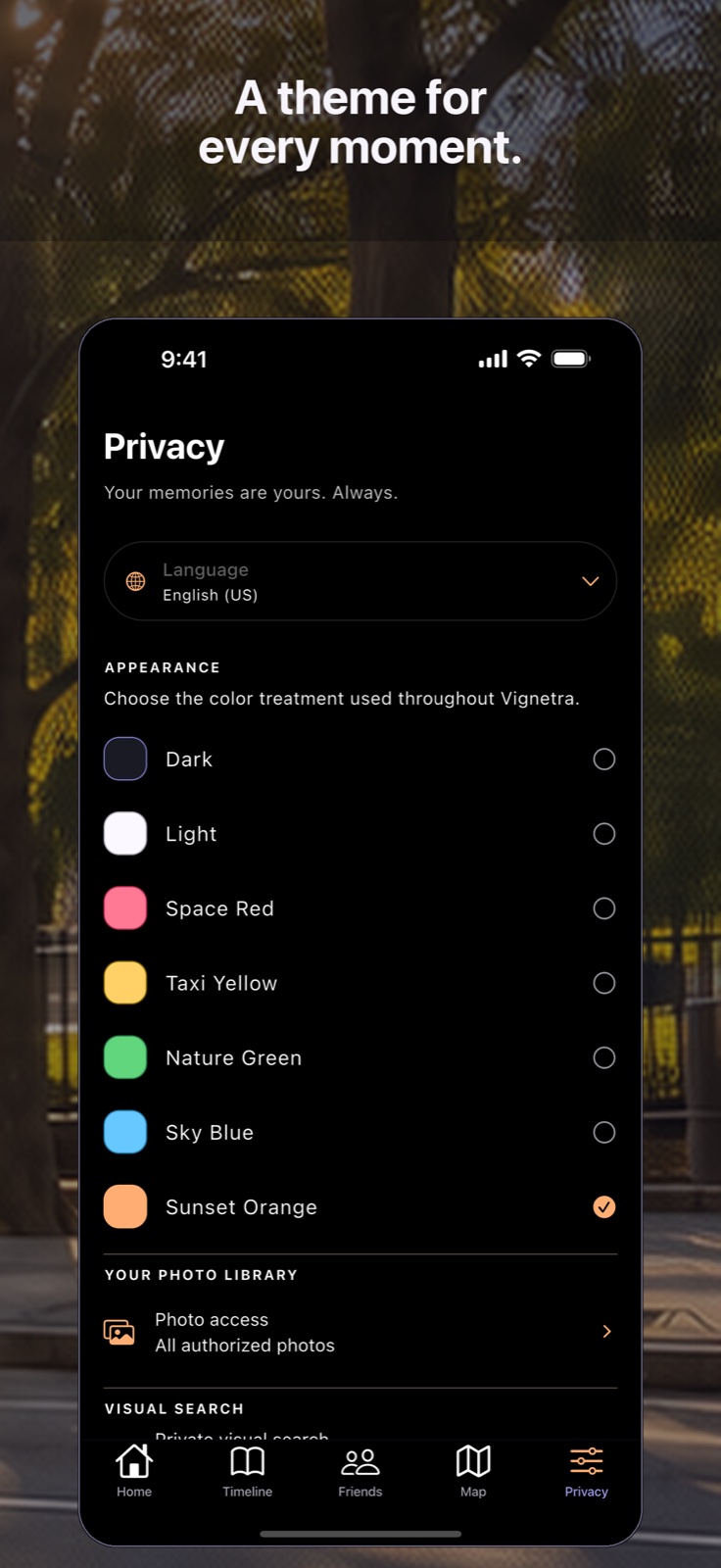 Vignetra appearance controls with Sky Blue and other themes